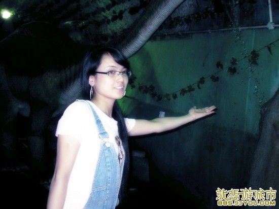06.jpg