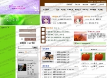 最近做的网站模版