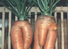 ġͼ