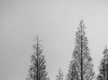 ˵